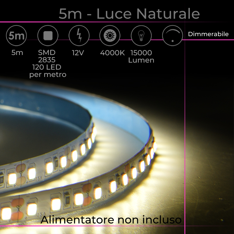 Strip led 12v 2835 striscia 5 metri strip 600 led 8mm vari colori